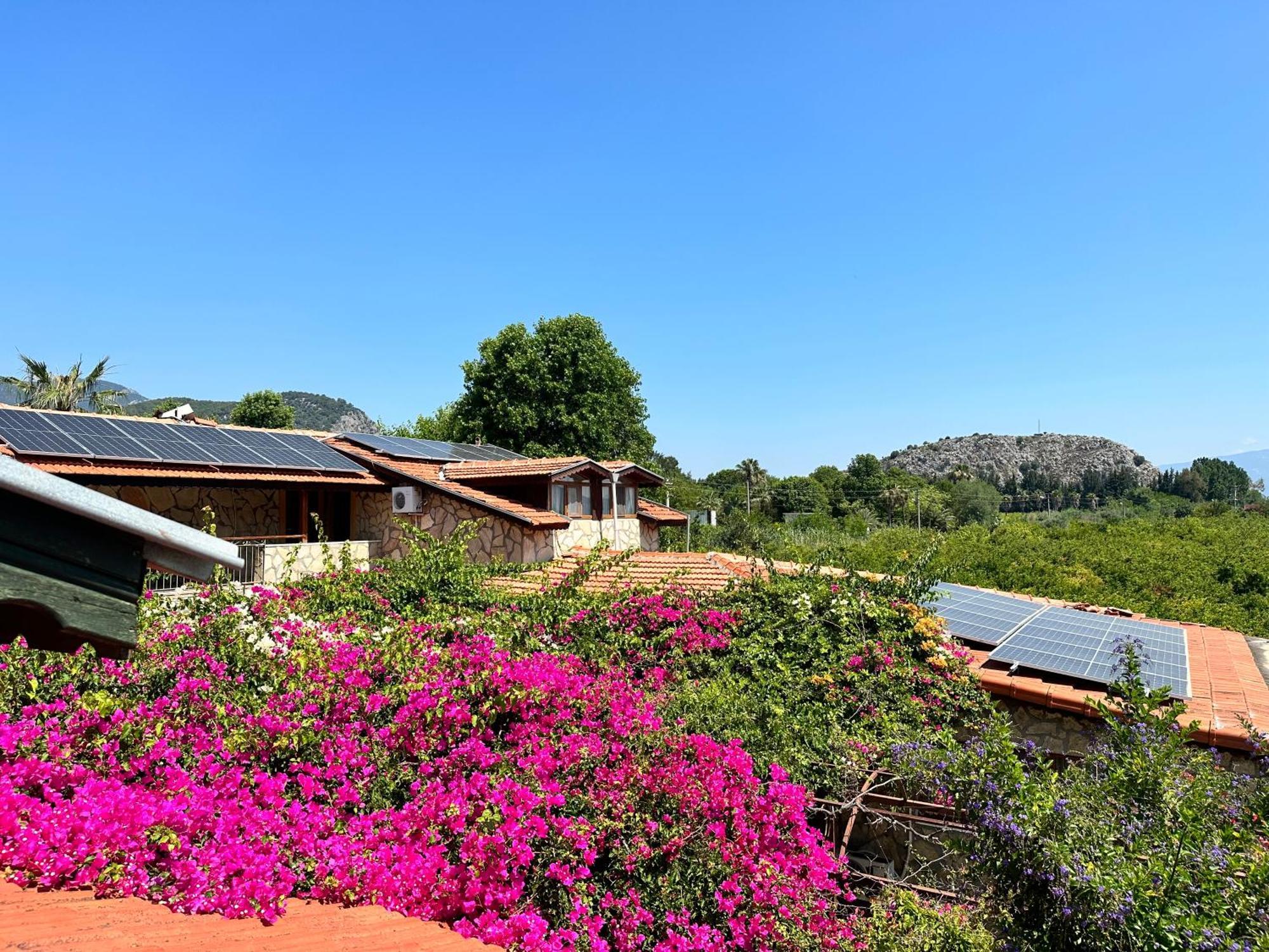 Bahaus Resort Dalyan Extérieur photo