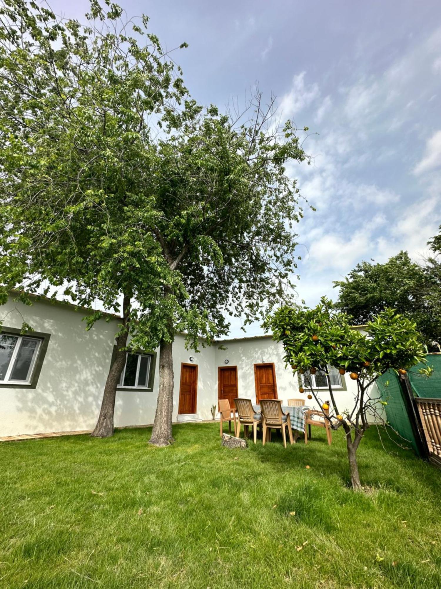 Bahaus Resort Dalyan Extérieur photo