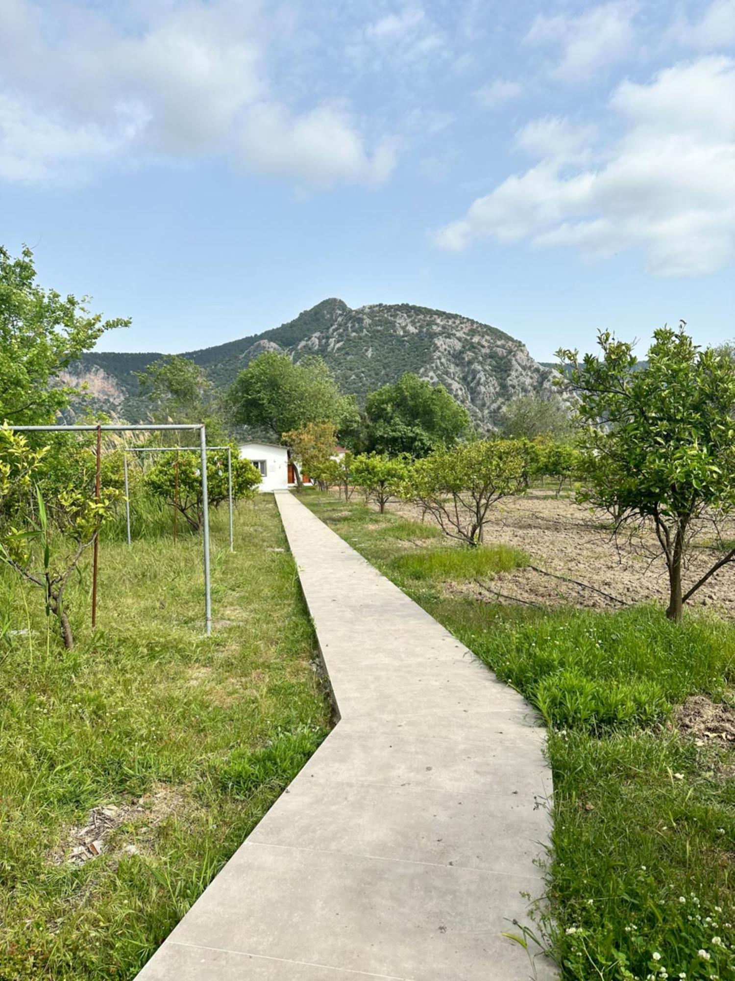 Bahaus Resort Dalyan Chambre photo