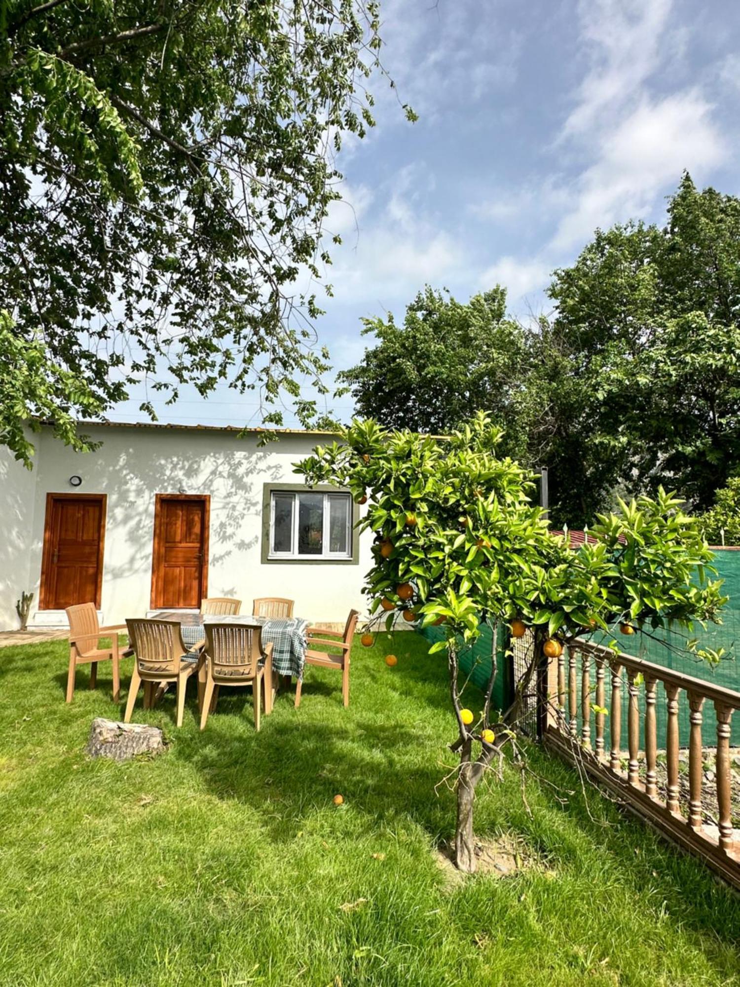 Bahaus Resort Dalyan Chambre photo