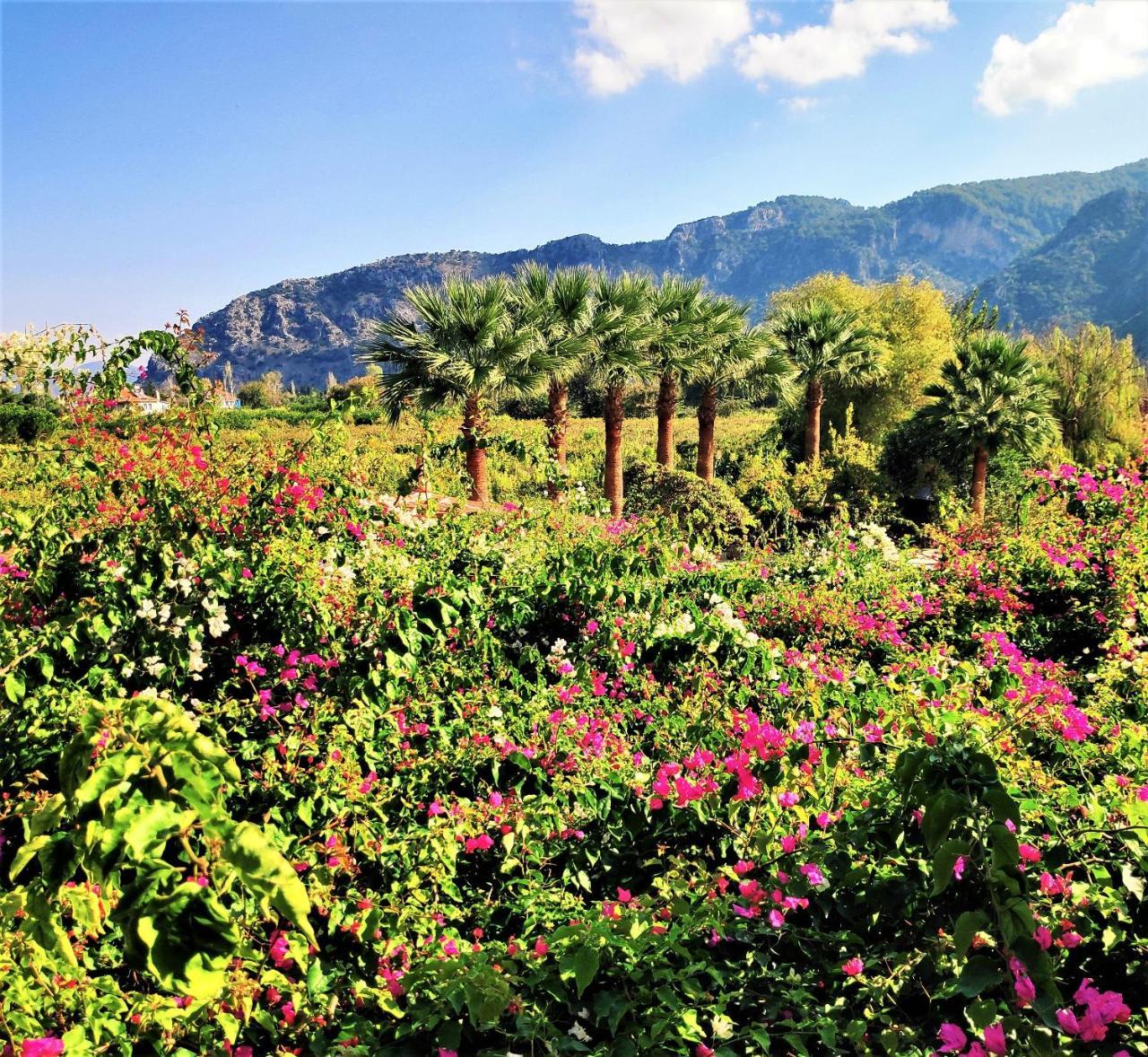 Bahaus Resort Dalyan Extérieur photo