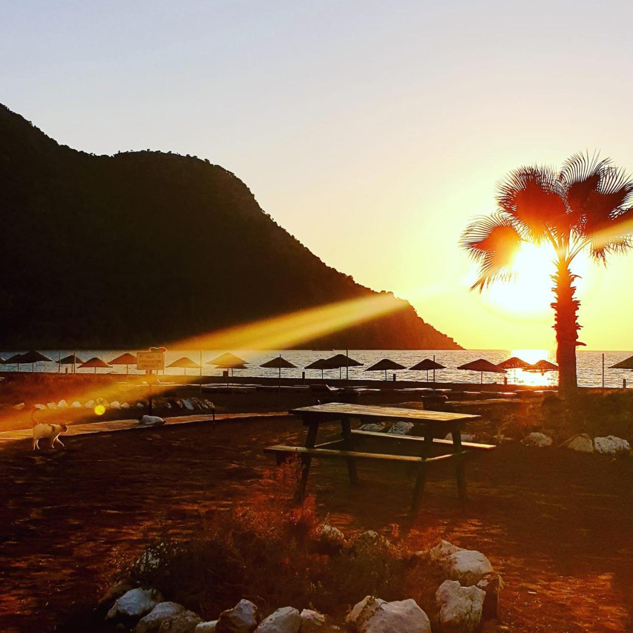 Bahaus Resort Dalyan Extérieur photo